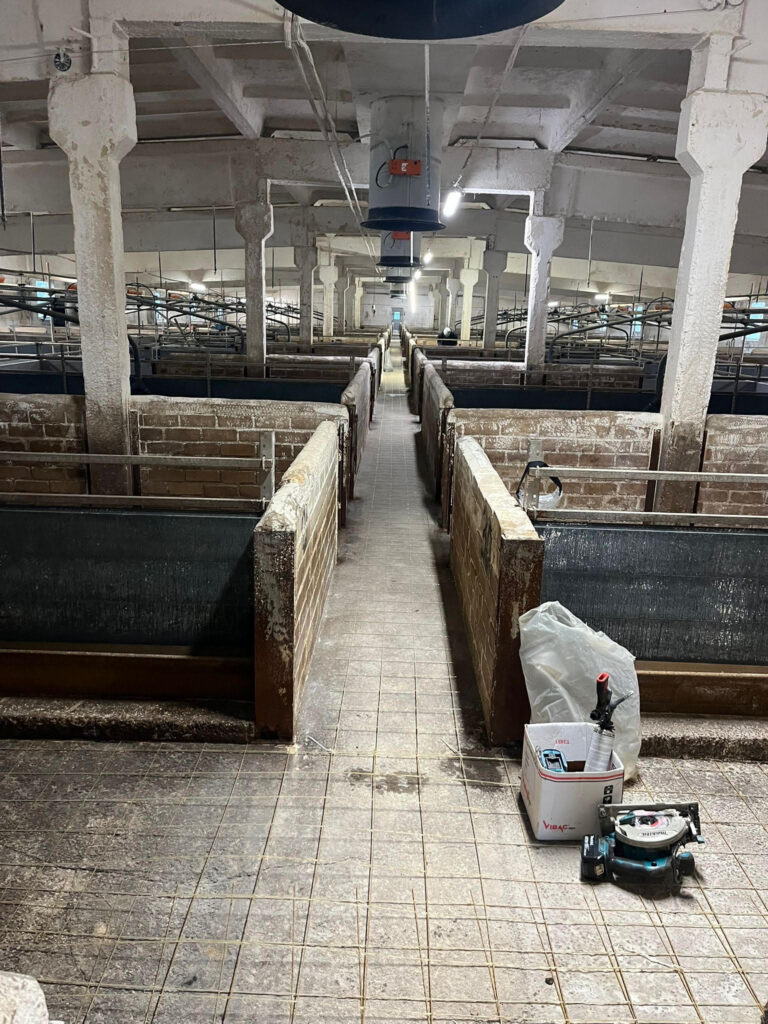 Nurme Sigala, Viljandimaa, pindala 2500m2