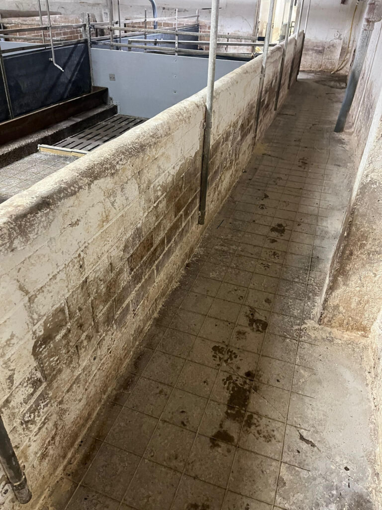 Nurme Sigala, Viljandimaa, pindala 2500m2